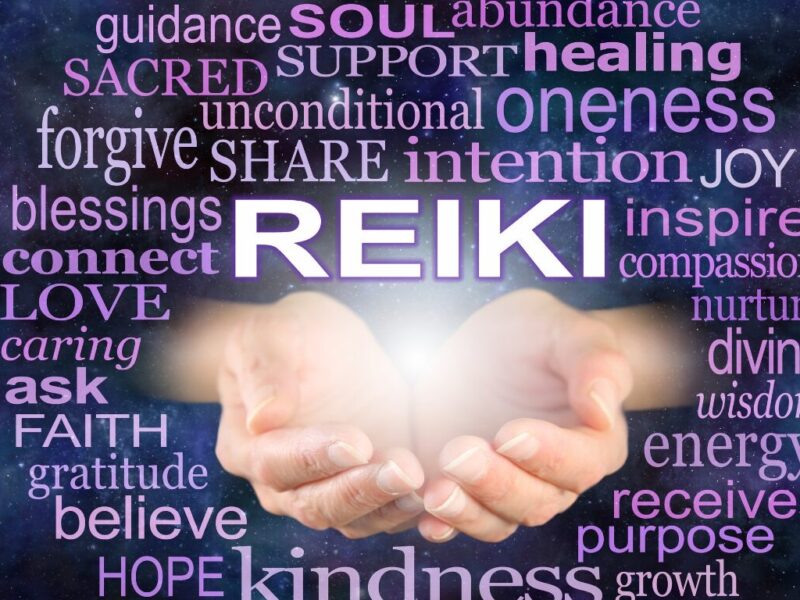 Phoenix Terrain Untapped