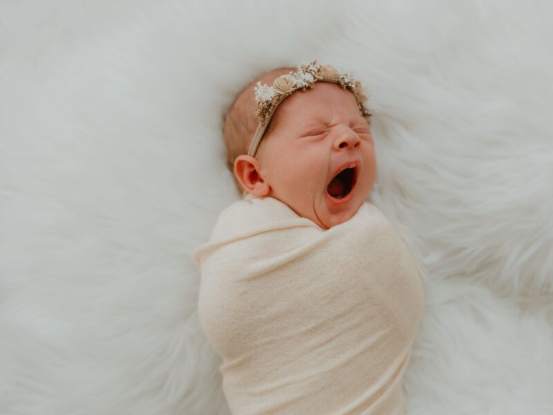 Meredith Photography