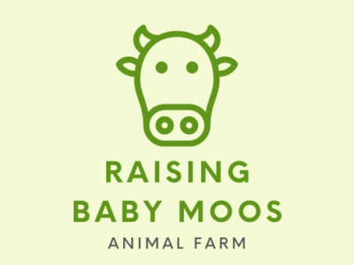 Raising Baby Moos – Hands-On Calf Feeding & Learning Experience